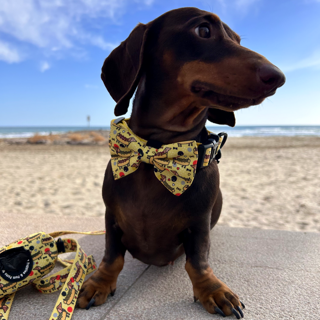 Dog Bow Tie - Hot Dog Dachshunds