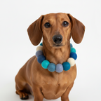 Personalised Pom Pom Dog Collar - Blue