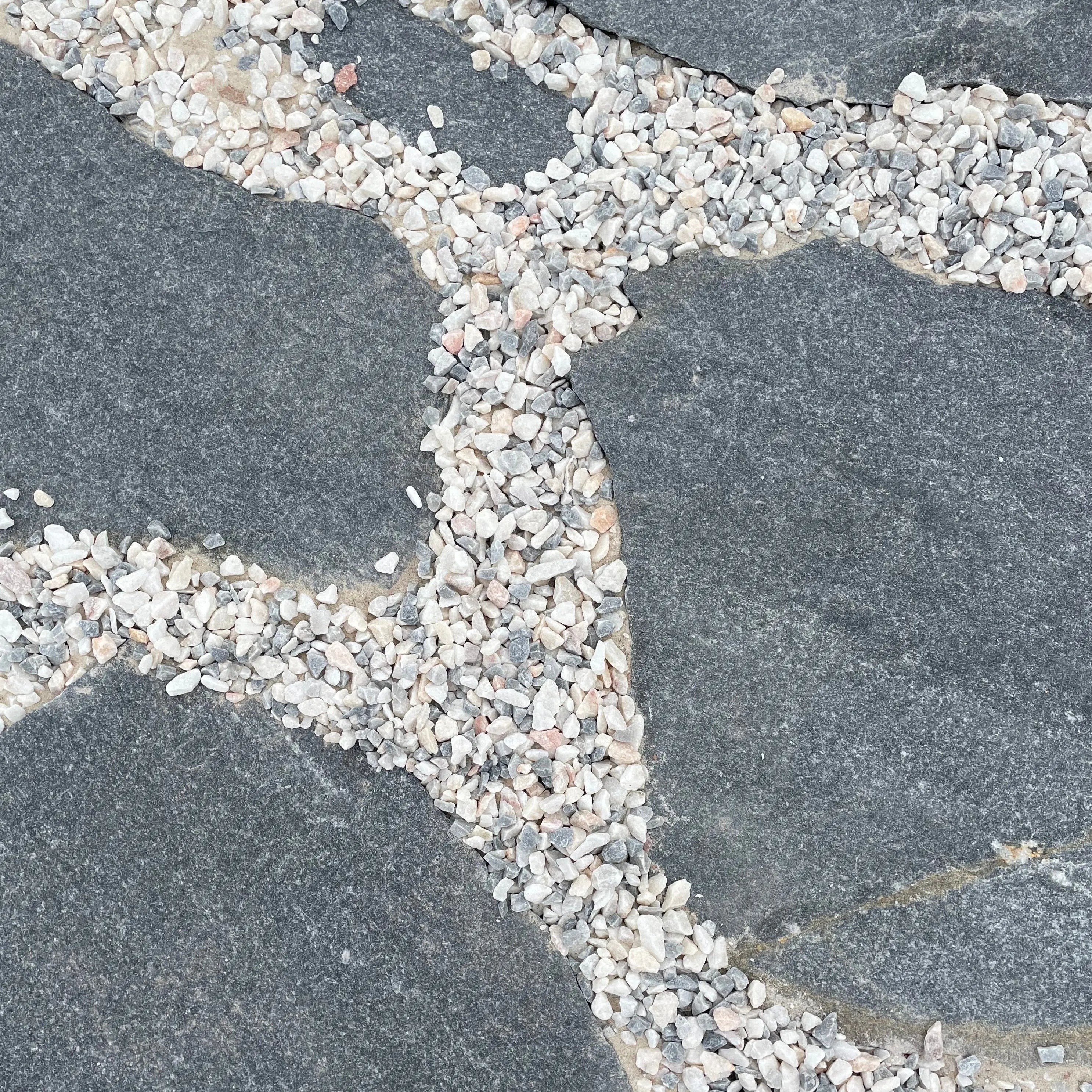 Planchoncillo Azulado