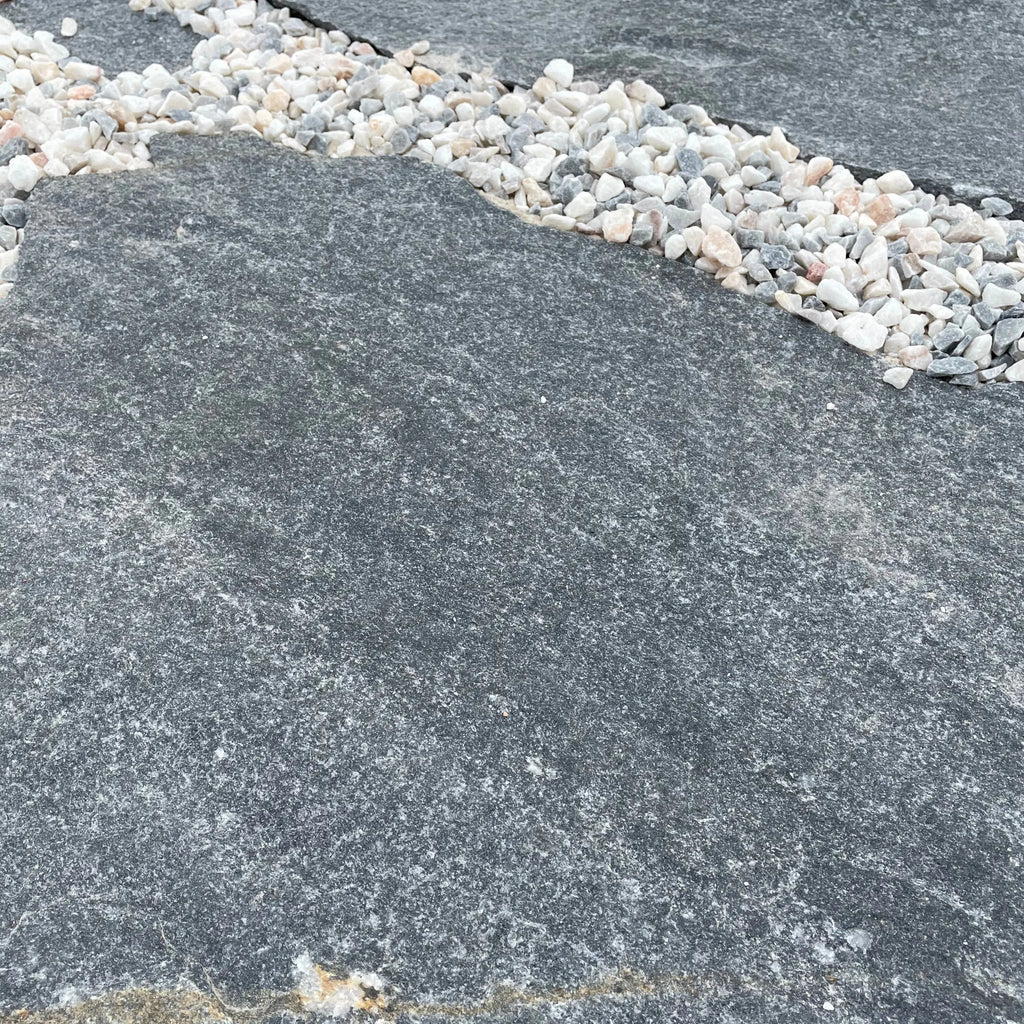 Planchoncillo Azulado