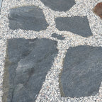 Planchoncillo Azulado