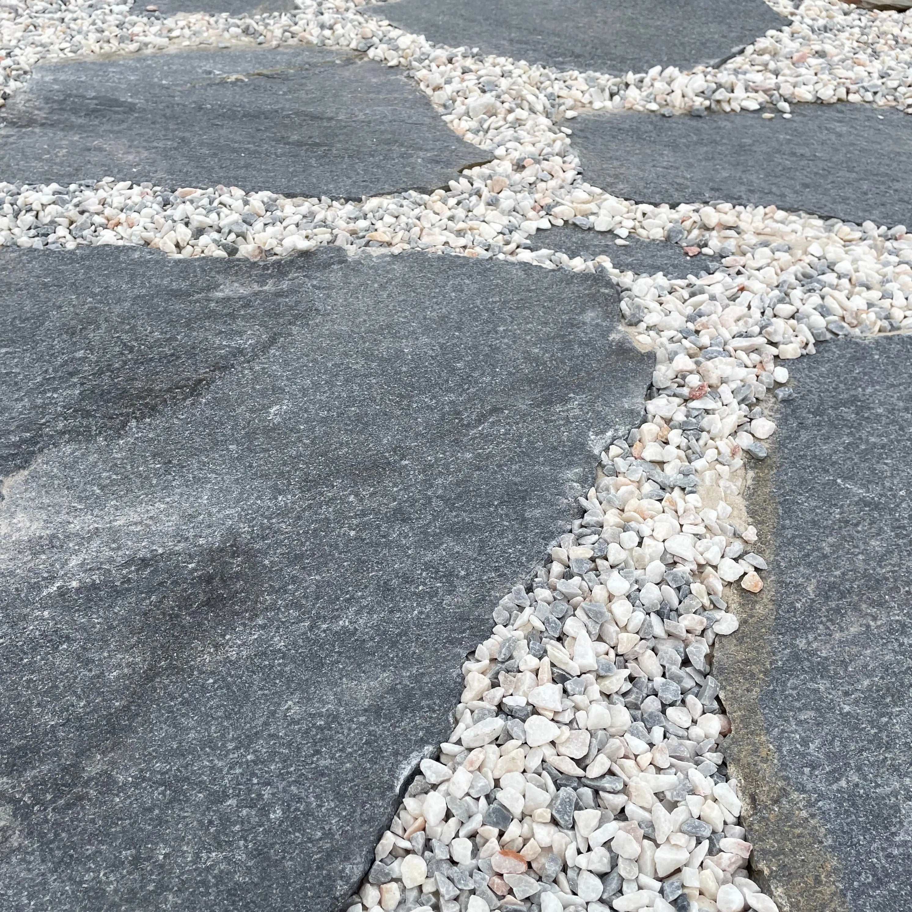 Planchoncillo Azulado