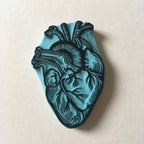 Human heart anatomical rubber stamp