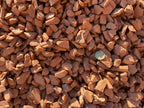 Chamotte Orange Gravel