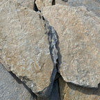 Planchoncillo Dorado y Azul