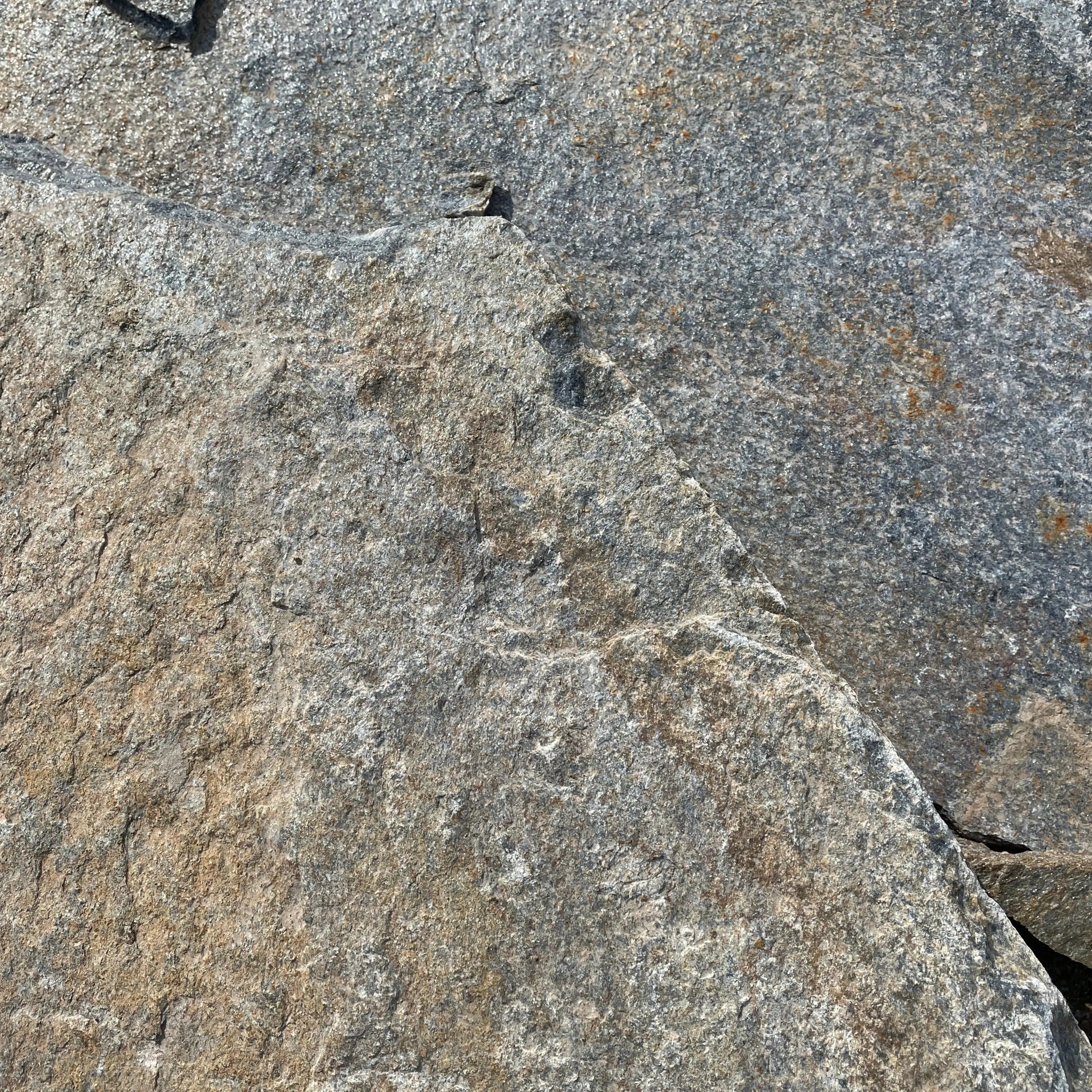 Planchoncillo Dorado y Azul