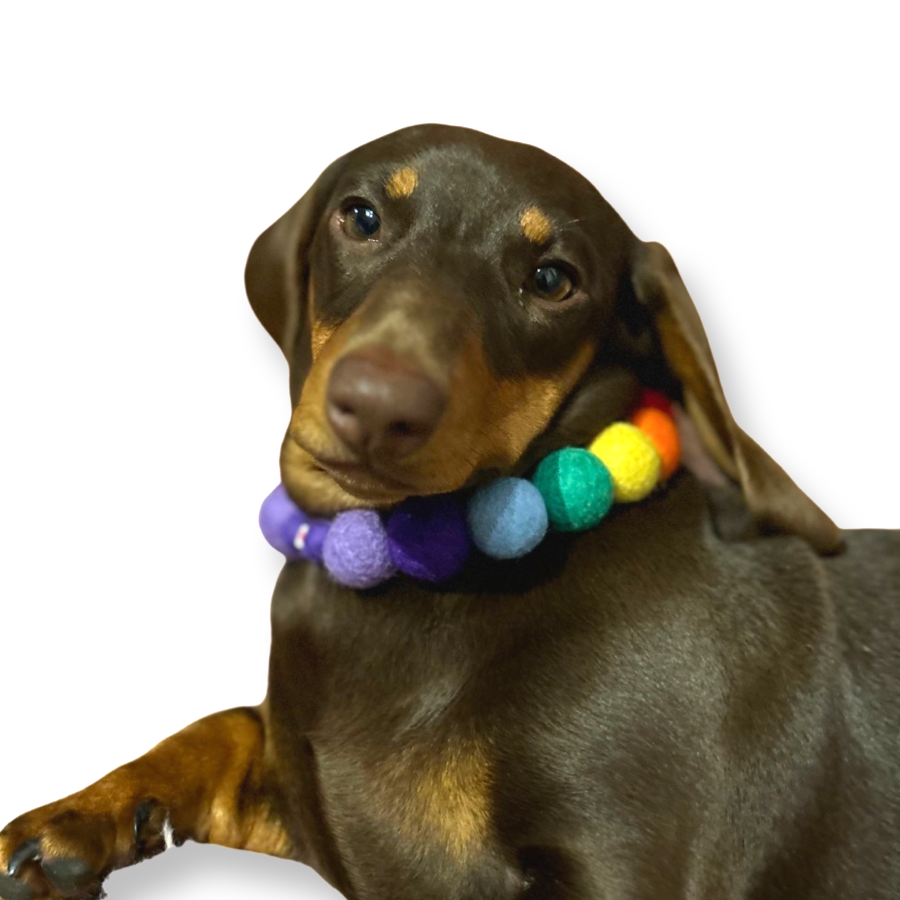 Collar para perro con pompones personalizados - Bolas de 2 cm arcoíris brillantes