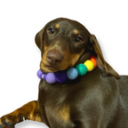 Collar para perro con pompones personalizados - Bolas de 2 cm arcoíris brillantes