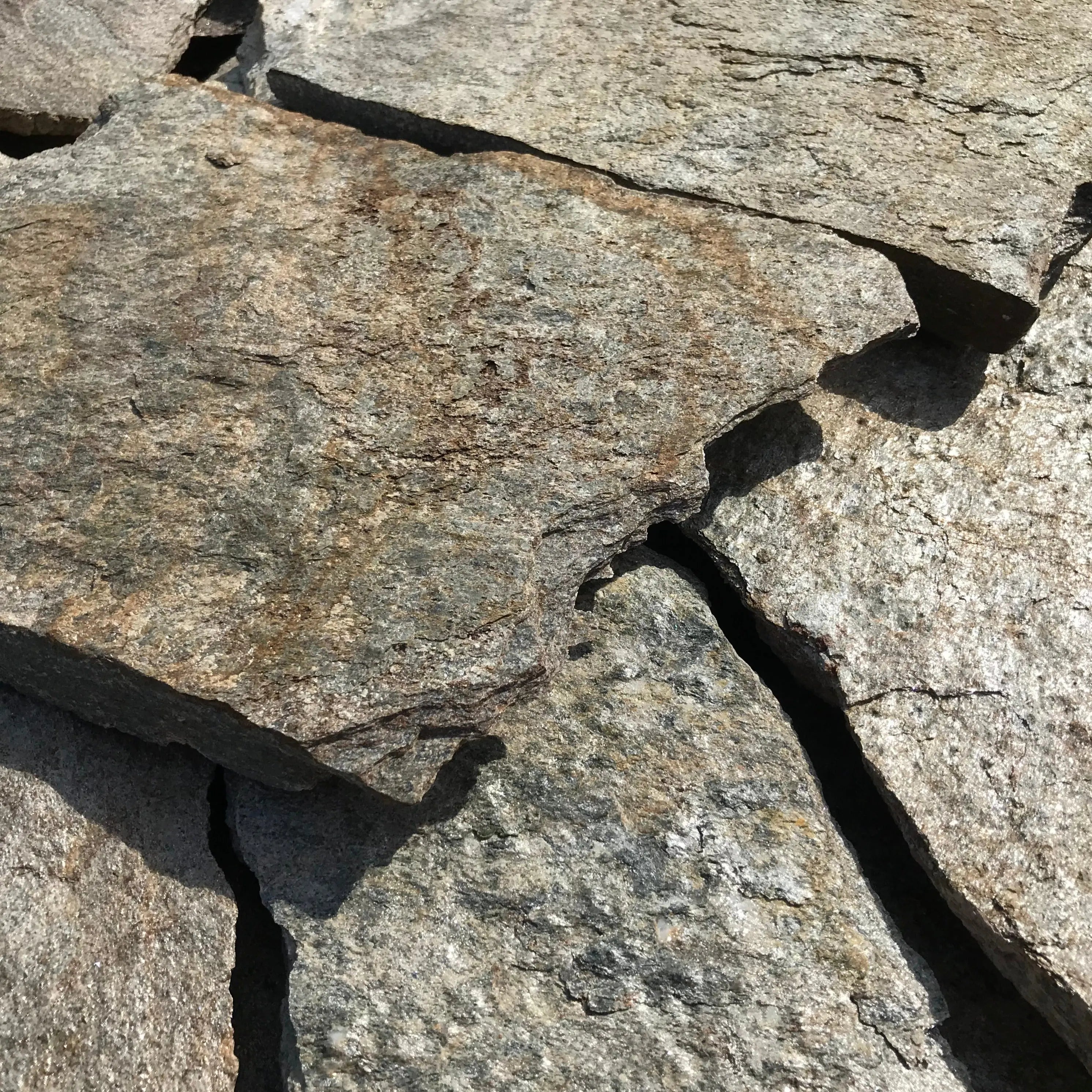 Planchoncillo Plata Bicolor