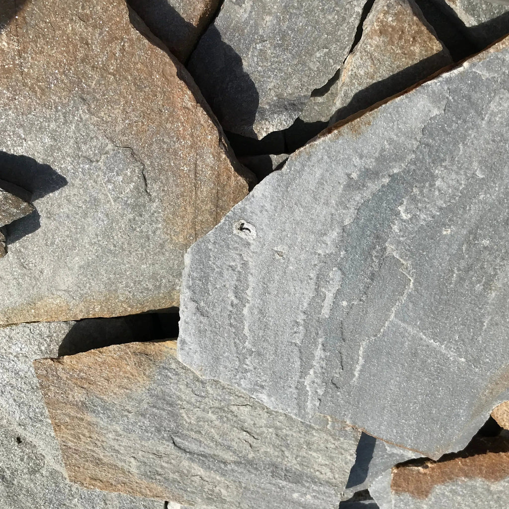 Planchoncillo Plata Bicolor