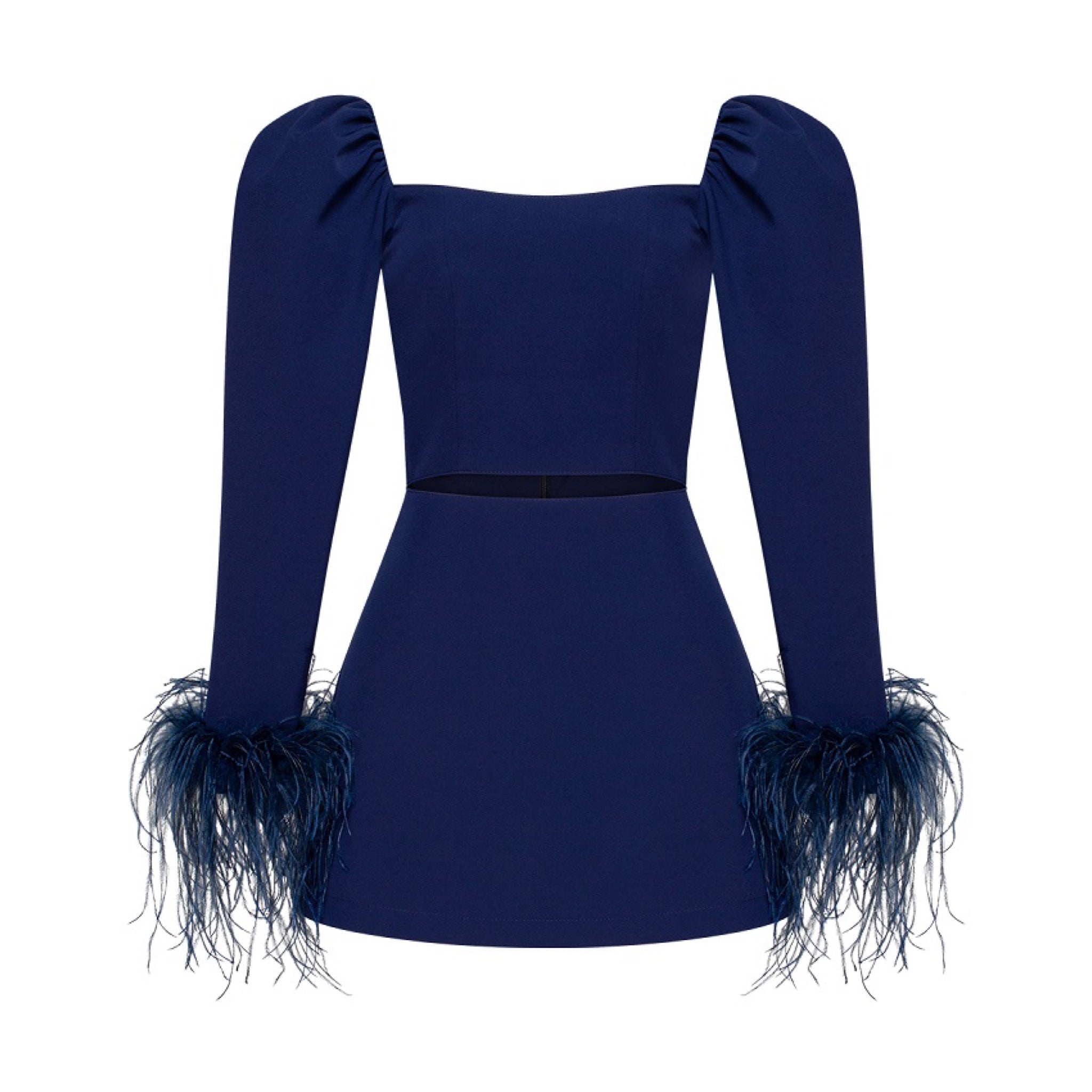 Long Sleeve Mini-Dress With Feathers