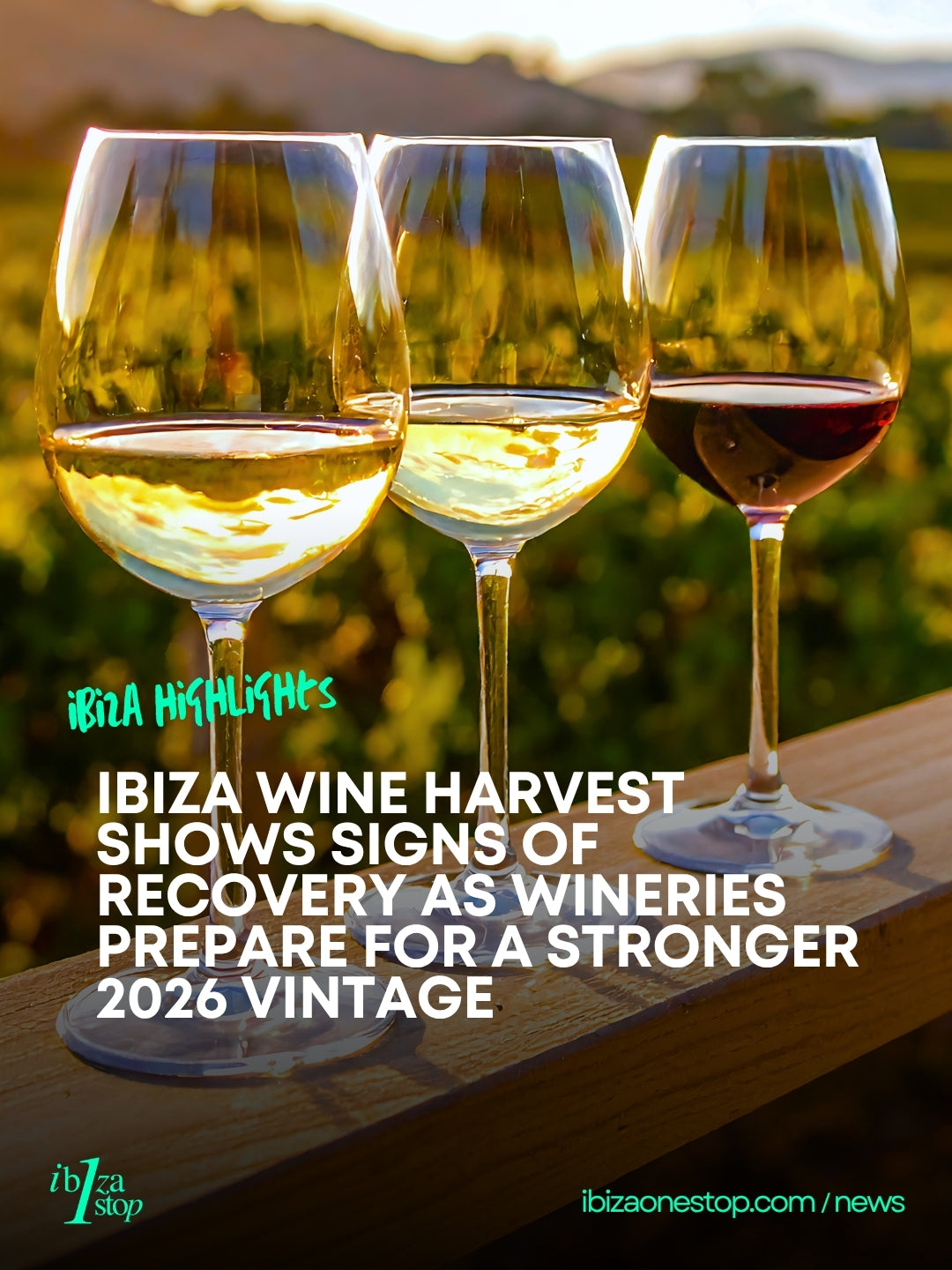 Ibiza Wine Harvest Shows Signs of Recovery as Wineries Prepare for a Stronger 2026 Vintage
