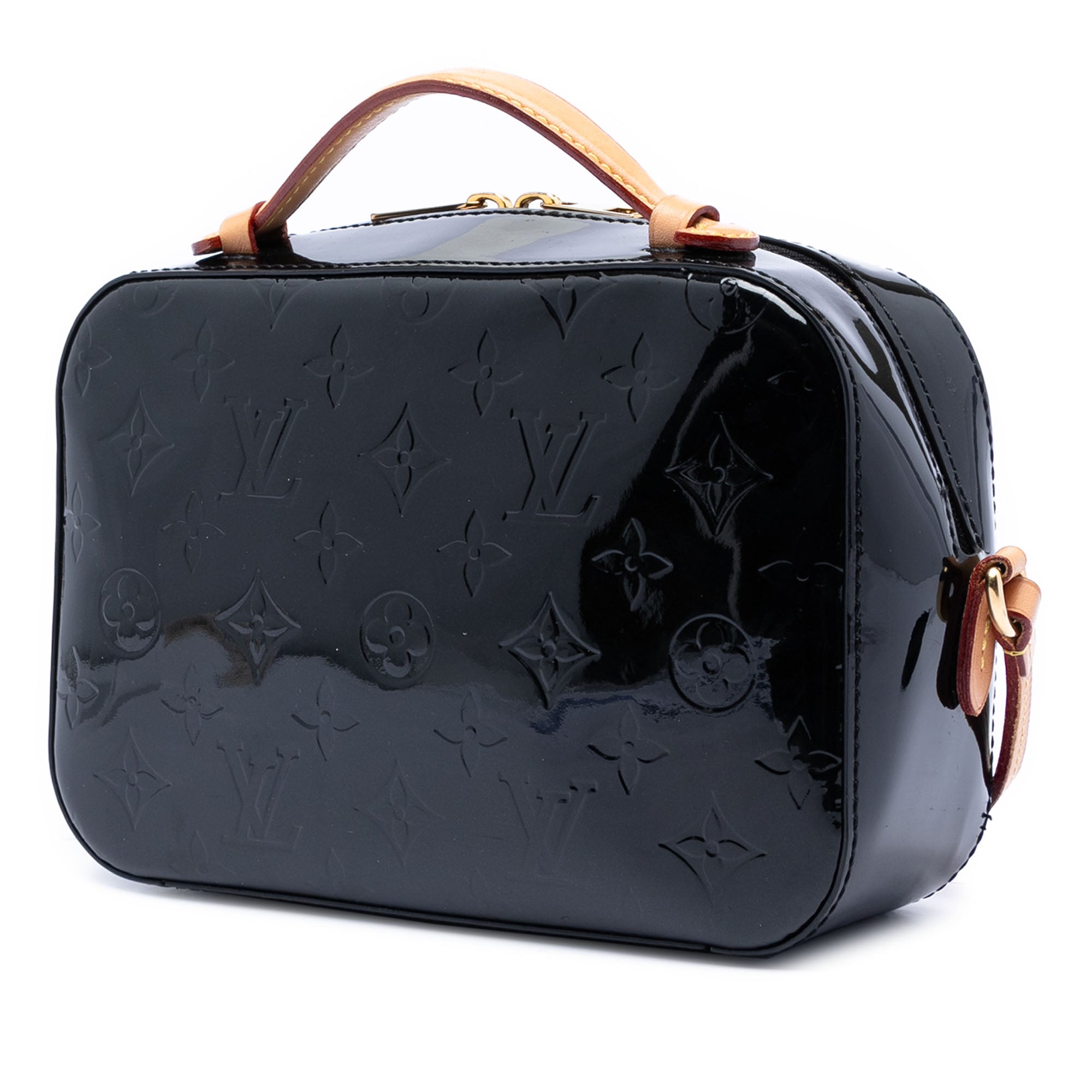 Monogram Vernis Santa Monica Camera Bag