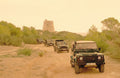Safari Island Tour with Lunch