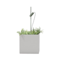 Dots Planter Light