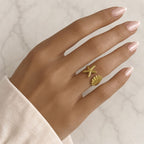 Anillo Corcega