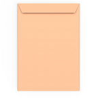 C4 Salmon Pink Envelope (324 x 229 mm)