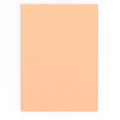 C4 Salmon Pink Envelope (324 x 229 mm)