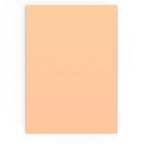 C4 Salmon Pink Envelope (324 x 229 mm)