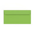 DL Mid Green Envelope (110 x 220mm)