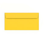 DL Mid Yellow Envelope (110 x 220mm)