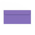 DL Purple Envelope (110 x 220mm)