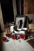 TRICICLO