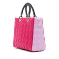 Large Tricolor Lambskin Cannage Lady Dior