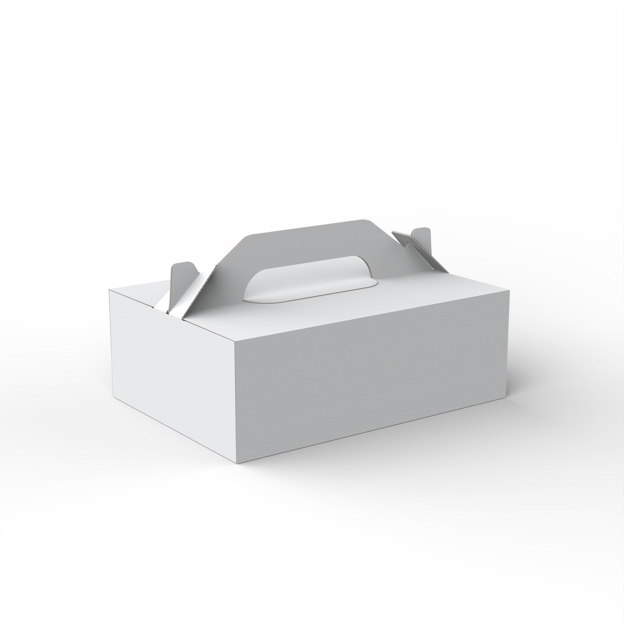 Takeaway Food Boxes