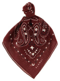 Alanui Paisley-Print Scarf — Burgundy