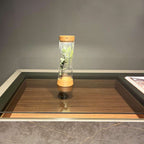 Lámpara de mesa recargable EOS, iluminación LED sostenible