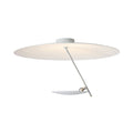 Lederam Ceiling Lamps