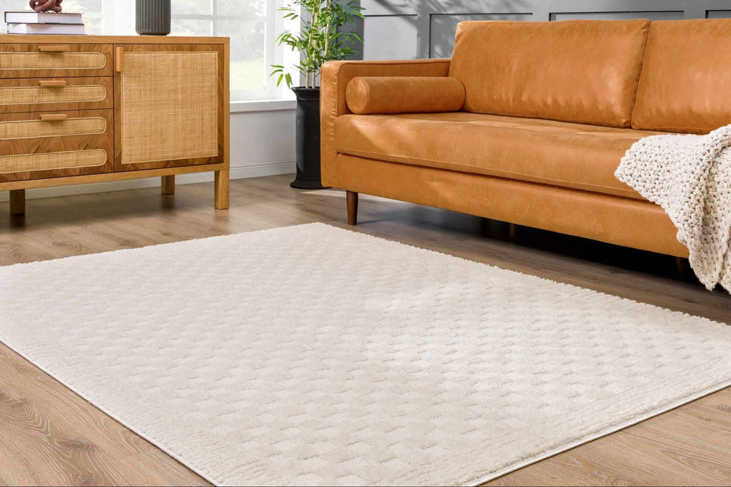 Leryn Ivory Checkered Area Rug
