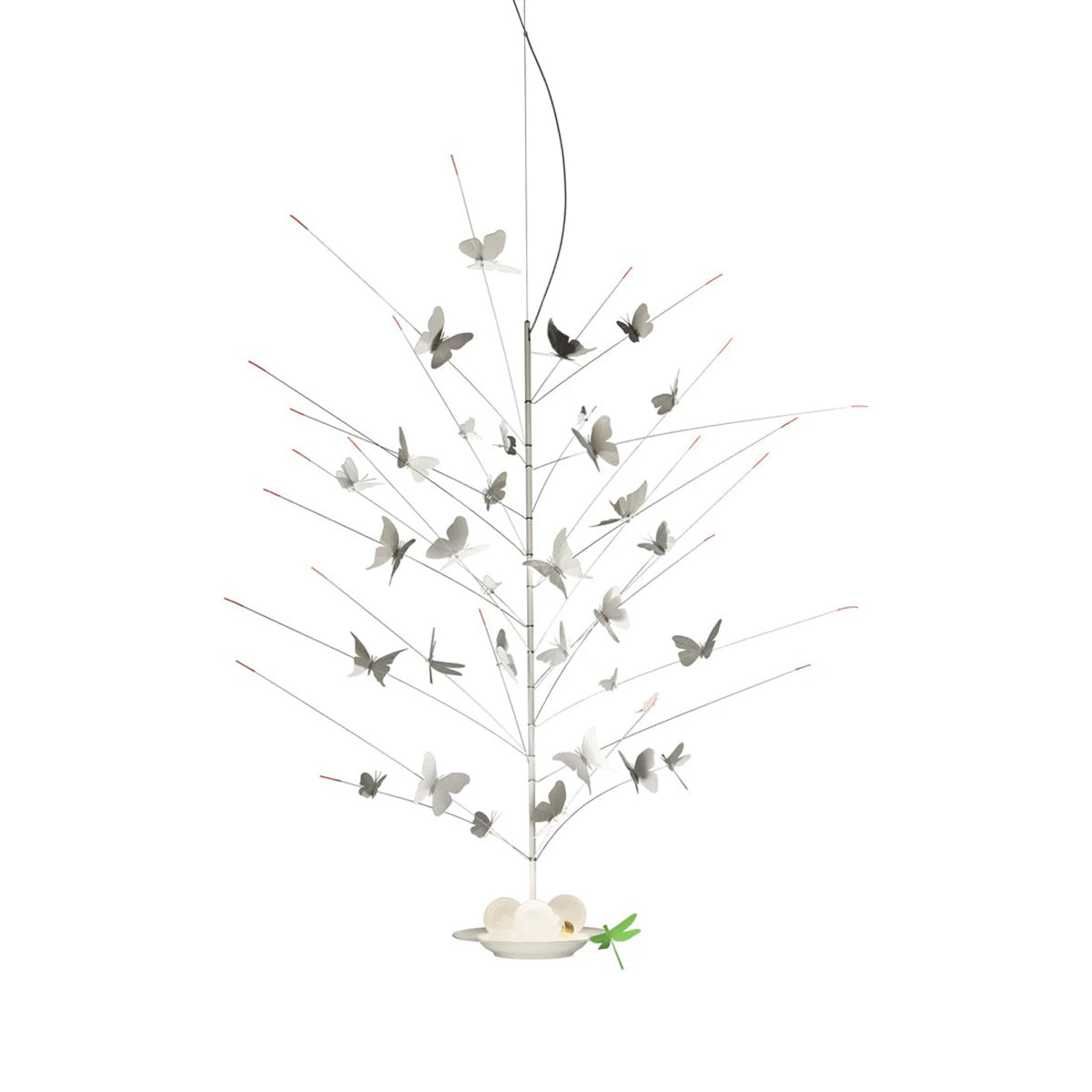 La Festa Delle Farfalle