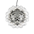 Taraxacum 88 Suspension 1