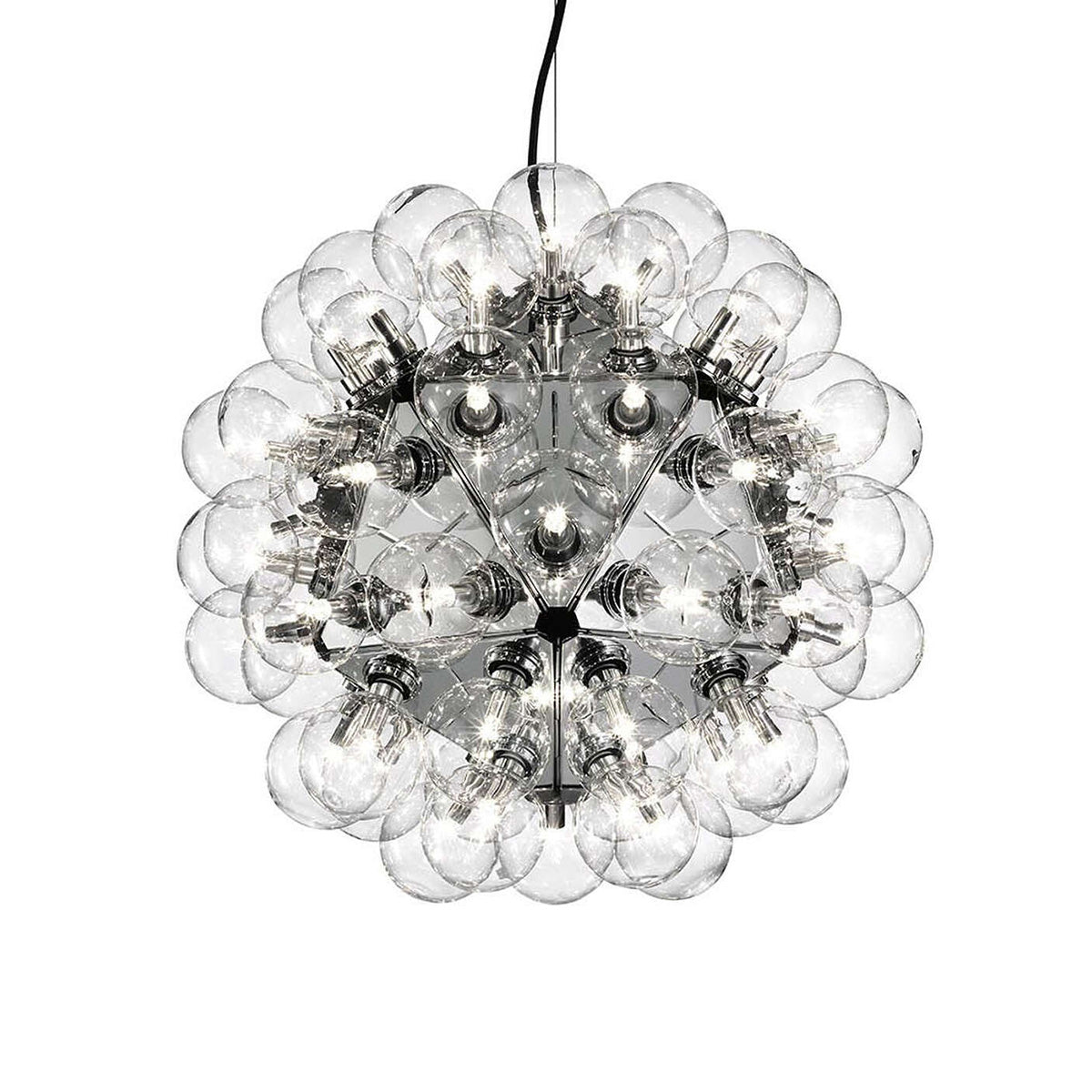 Taraxacum 88 Suspension 1