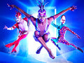 Mystère by Cirque du Soleil
