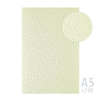 Hammered Textured Paper 246gsm