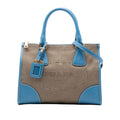 Saffiano Trimmed Canvas Canapa Logo Double Zip Satchel