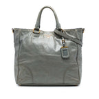 Vitello Shine Satchel