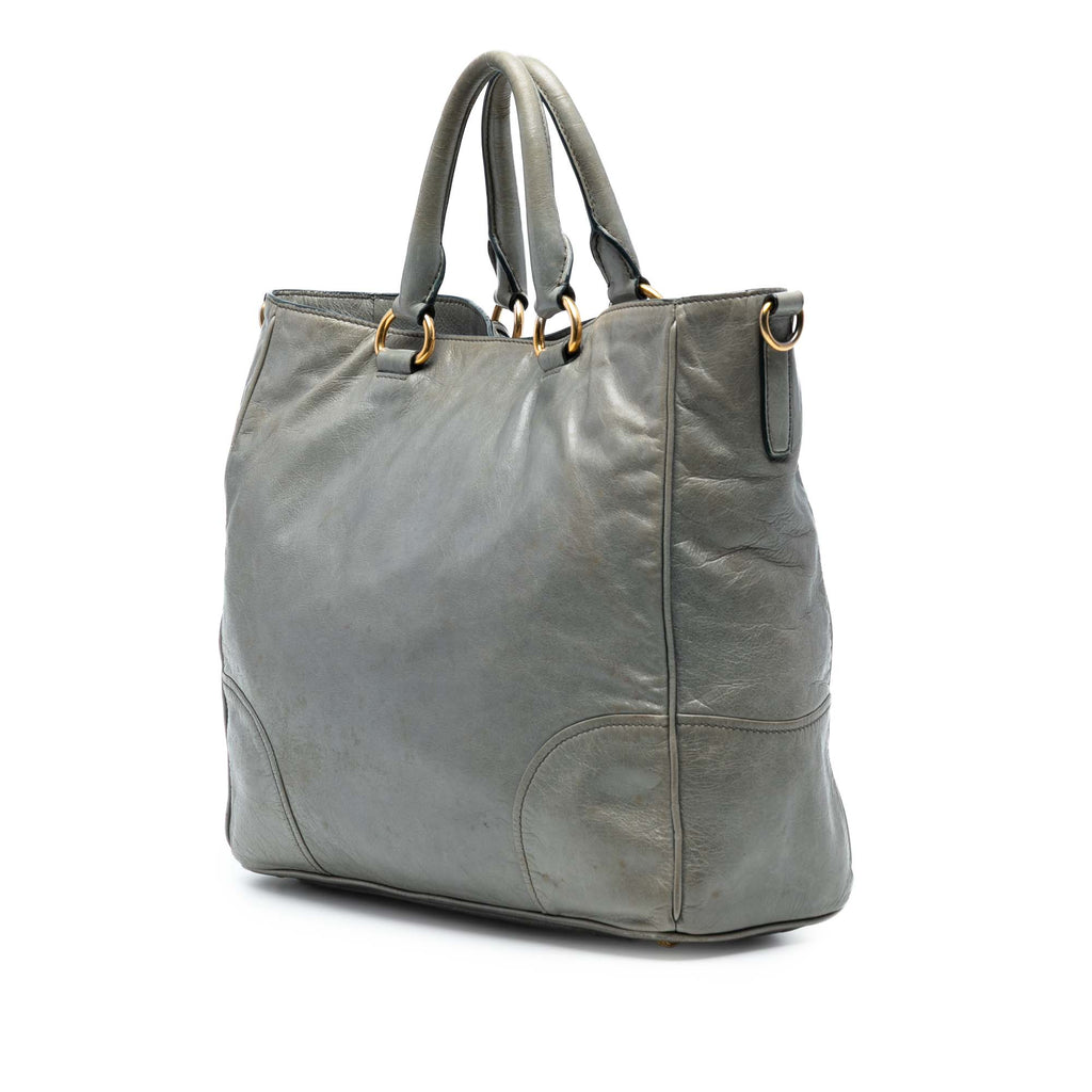 Vitello Shine Satchel