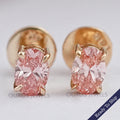 Fancy Pink Stud Earrings, 14K Yellow Gold Oval Stud
