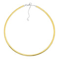 Adjustable and Reversible Two-Tone Omega Necklace