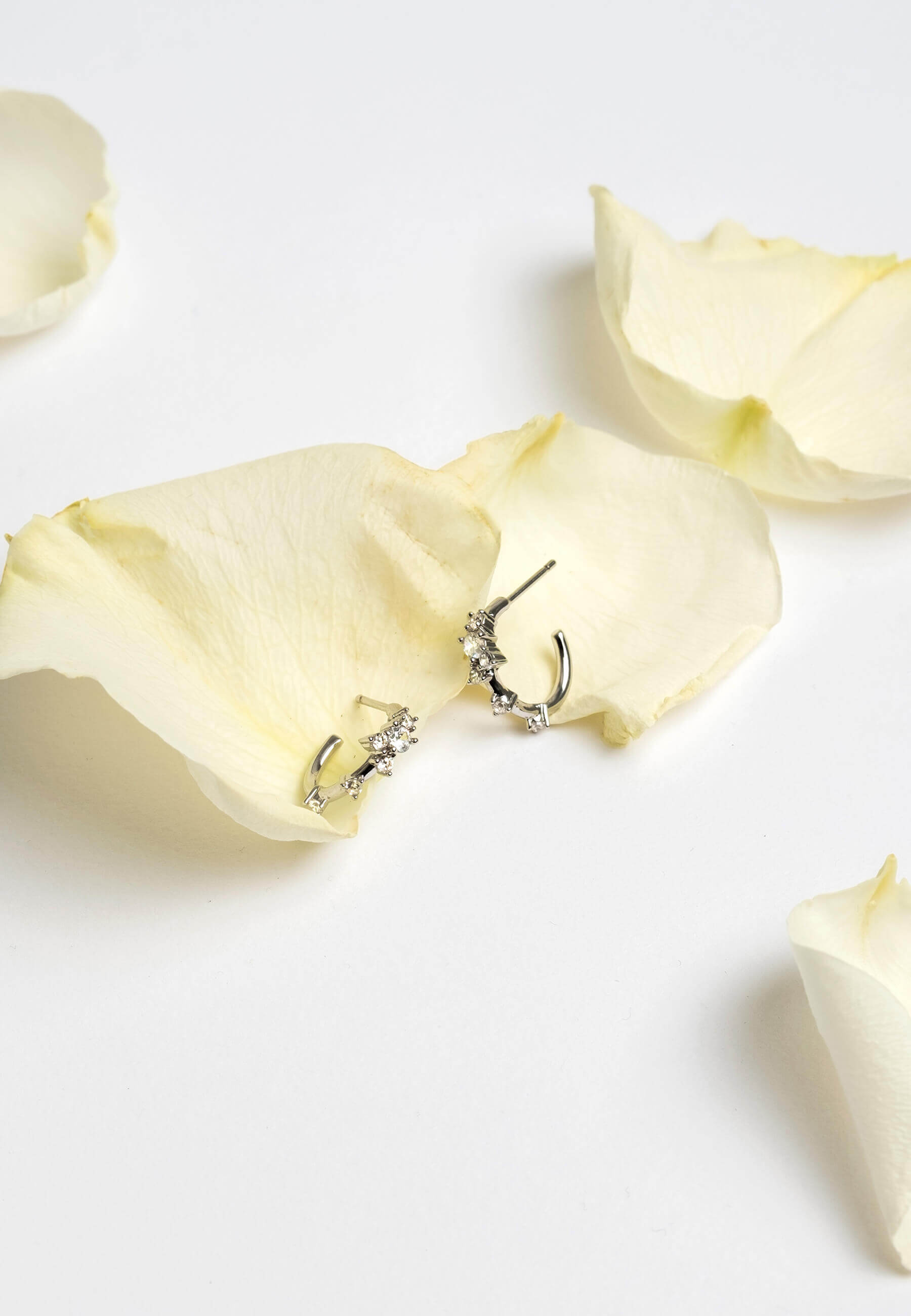 Aros Orchid Plata