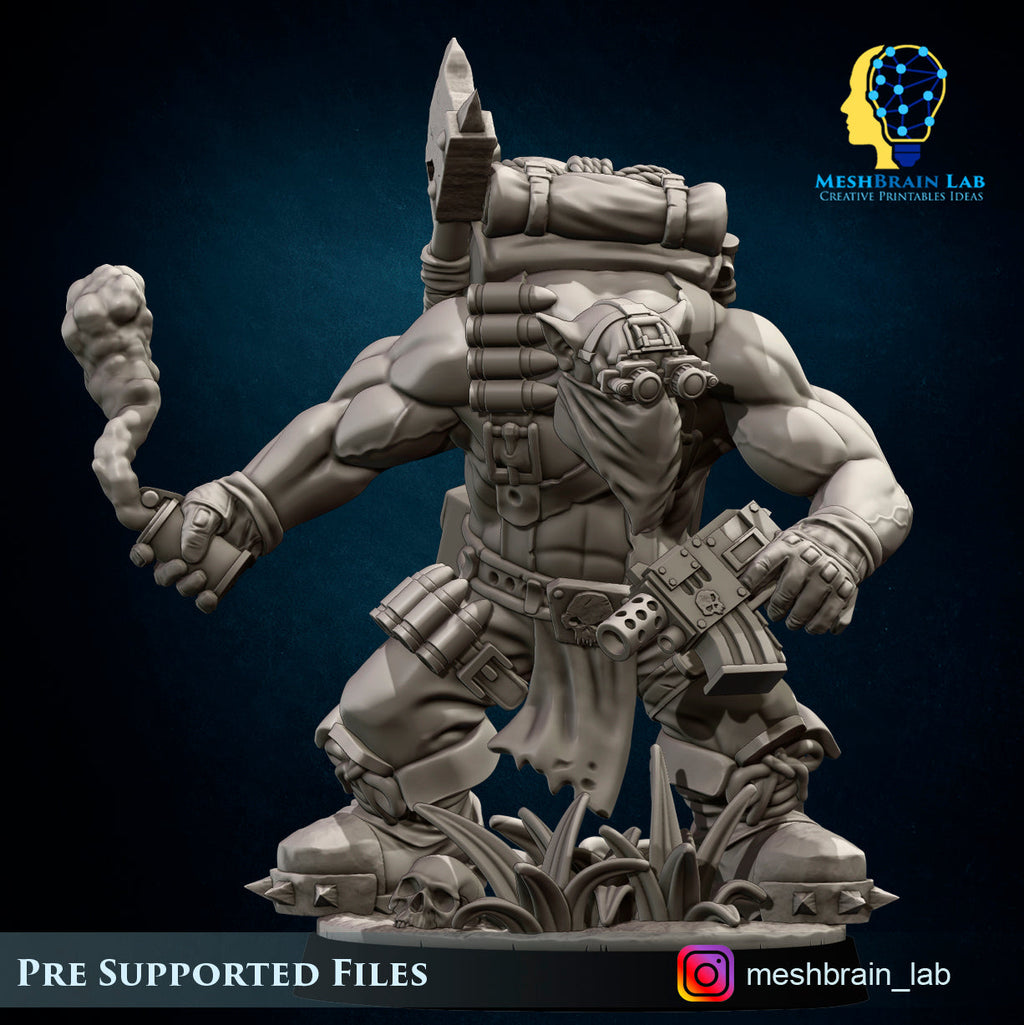 Kommandos, MeshBrain Lab