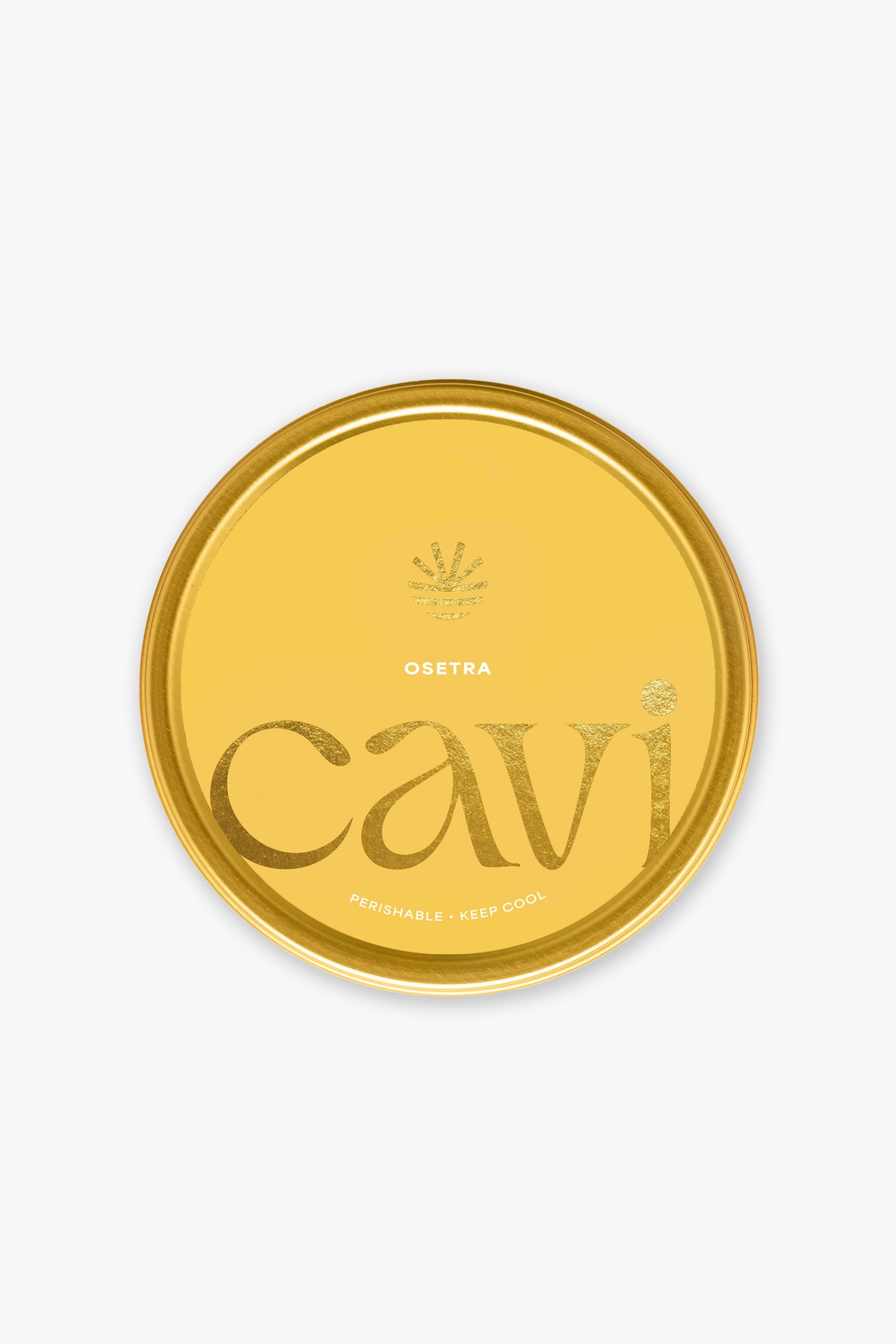 Wholesale Osetra Caviar