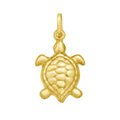 Turtle Charm
