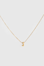 COLLAR  INICIAL