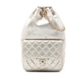 Small Metallic Lambskin In Seoul Backpack