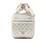 Small Metallic Lambskin In Seoul Backpack